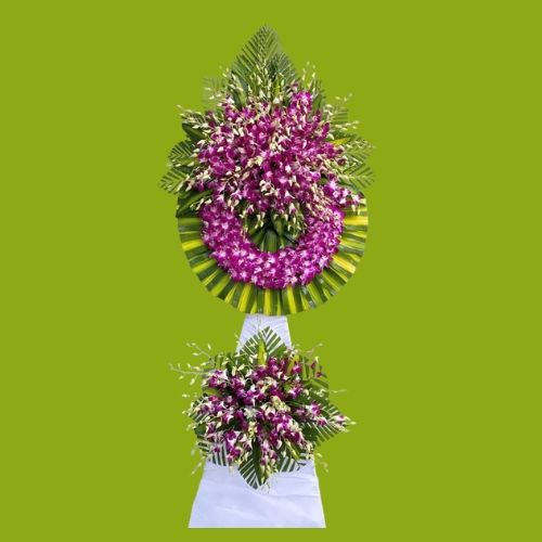 Hoa chia buồn màu tím