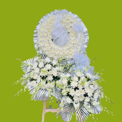 Hoa cúc trắng đám tang