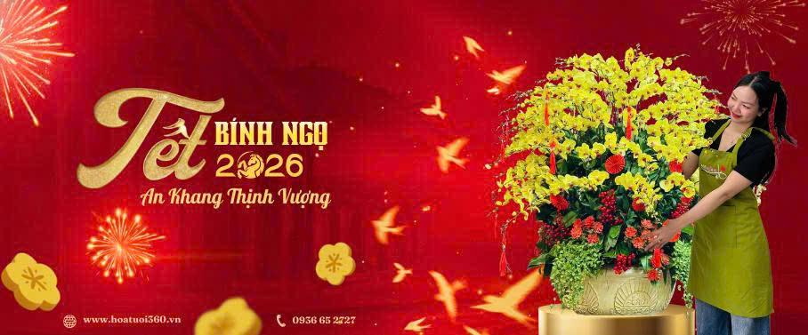 Lan hồ điệp tết 2026