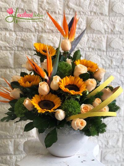 Bình hoa chúc mừng - Vũ điệu hoang dại