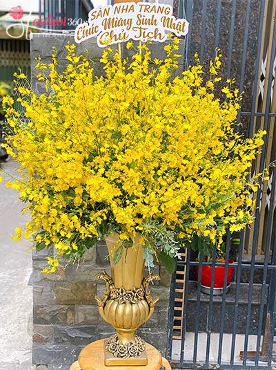 Bình hoa lan vũ nữ - Diễm lệ