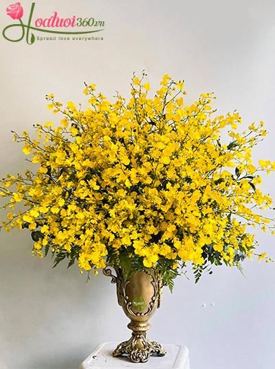 Bình hoa lan vũ nữ - Đỉnh vinh quang