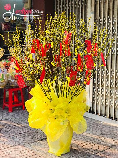 Bình hoa nụ tầm xuân - Nắng xuân rạng ngời