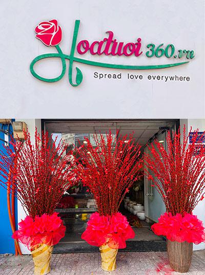 Bình hoa nụ tầm xuân - Tân niên cát tường