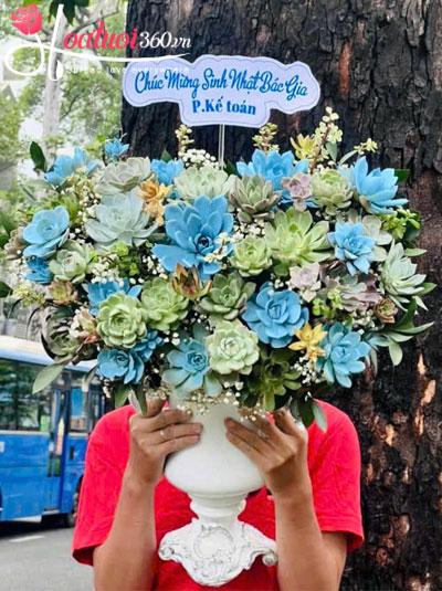 Bình hoa sen đá - Gửi ngàn yêu thương