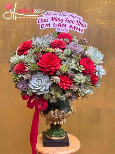 Bình hoa sen đá - Rực rỡ muôn phương