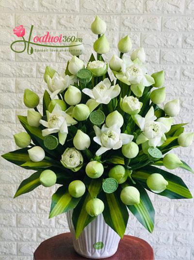 Bình hoa sen trắng - Thông thái