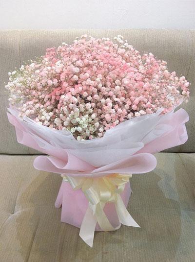 Bó baby hồng  - Giấc mơ tình yêu