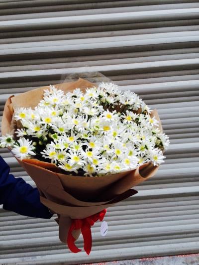 Bó cúc họa mi - Bình yên