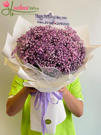 Bó hoa baby tím - Tình ca miên man