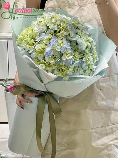 Bó hoa cẩm tú cầu - Only hope