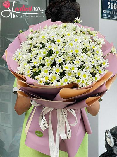 Bó hoa cúc họa mi - Chiều đông trên phố