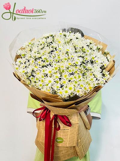 Bó hoa cúc họa mi - Đông ấm