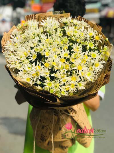 Bó hoa cúc họa mi - Hà Nội mùa thay lá