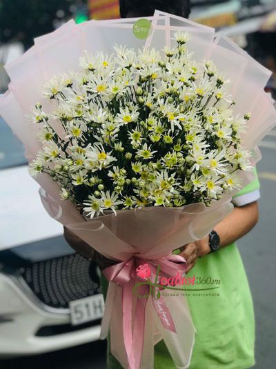 Bó hoa cúc họa mi - Hà Nội xa nhớ