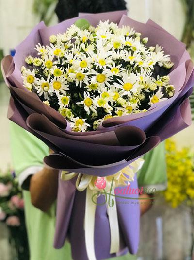 Bó hoa cúc họa mi - Mộng mơ