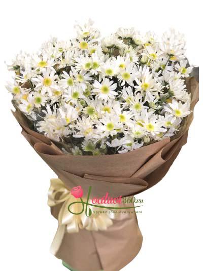 Bó hoa cúc họa mi - Mùa đông không lạnh