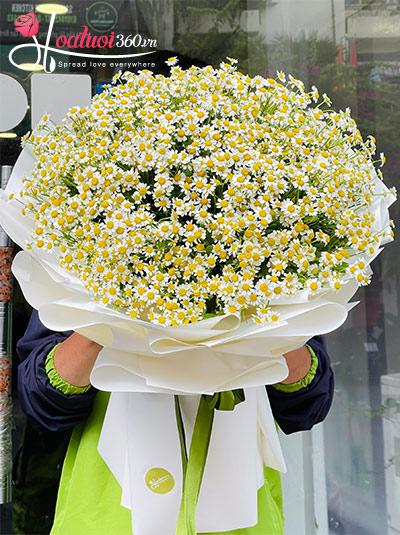 Bó hoa cúc tana - Cứ thế mà chill