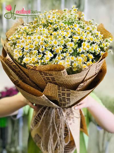 Bó hoa cúc tana - Dành tặng em