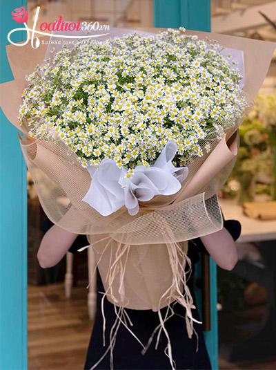 Bó hoa cúc tana - Giai điệu tuổi trẻ