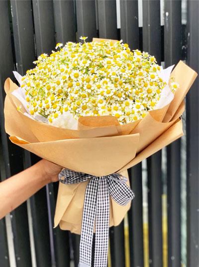 Bó hoa cúc tana lớn