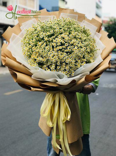 Bó hoa cúc tana - Ngày nắng mai