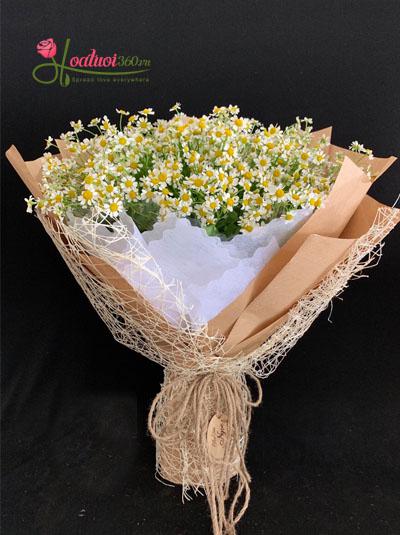 Bó hoa cúc tana - Phong cách tây