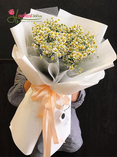 Bó hoa cúc tana - Vương vấn