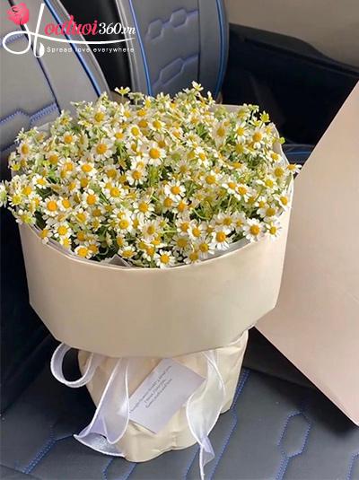 Bó hoa cúc tana - Yêu nhiều chút