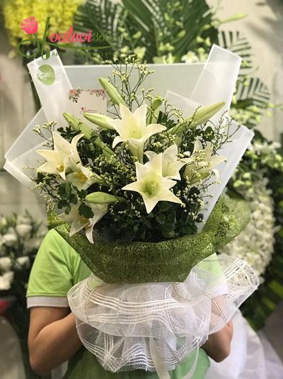 Bó hoa loa kèn - Nhớ về Hà Nội