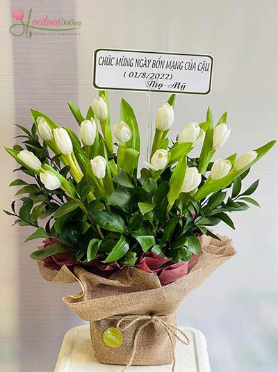 Bó hoa tulip xinh - Cầu bình an