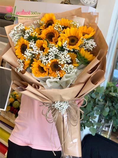 Bó hướng dương -  Mãi hướng về em