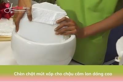 Cách cắm lan hồ điệp 5 cây đơn giản dành cho người mới