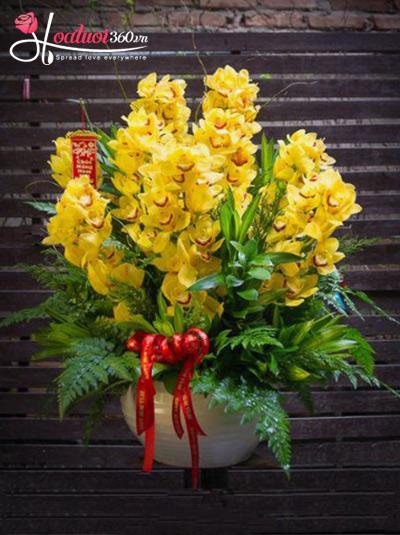 Chậu hoa chúc mừng - Phúc lộc về tay