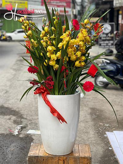 Chậu hoa địa lan - Đại phú đại thịnh