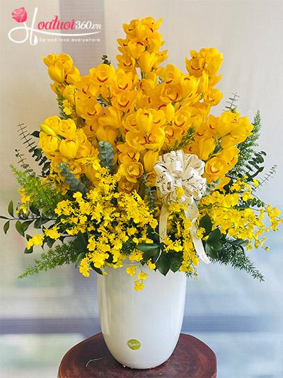 Chậu hoa địa lan - Thịnh vượng phát tài