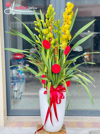 Chậu hoa địa lan - Thuận lời trăm bề