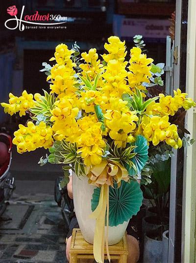 Chậu hoa địa lan - Xuân xanh rạng ngời