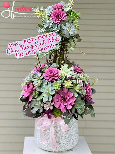 Chậu hoa sen đá - Dâng trọn yêu thương