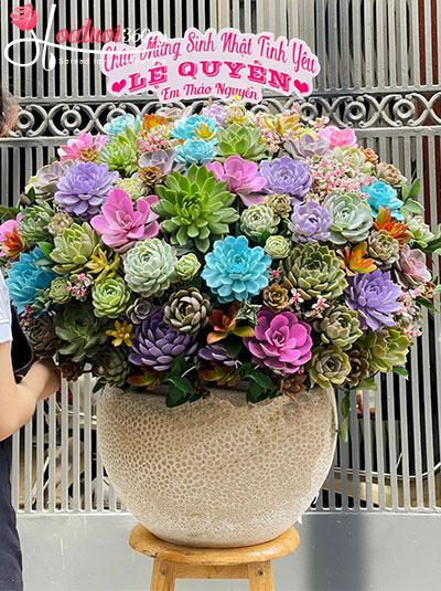 Chậu hoa sen đá - Gói trọn lộc tài