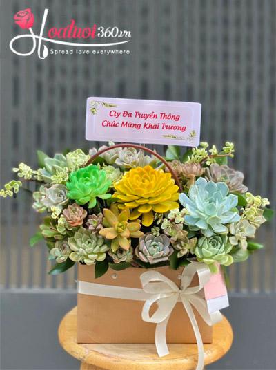 Chậu hoa sen đá - Hồng phát khởi tài