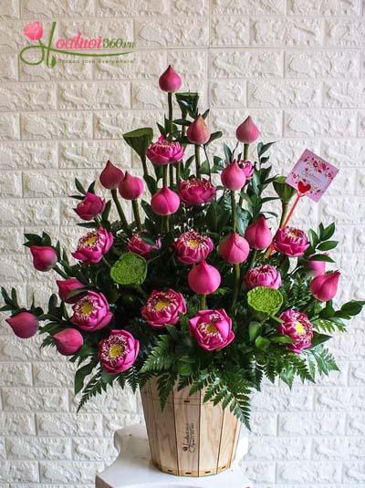 Chậu hoa sen - Nét đẹp Việt Nam