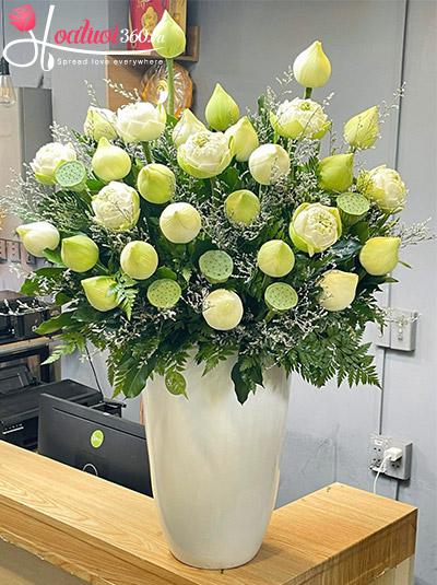 Chậu hoa sen trắng - Tinh hoa đất trời