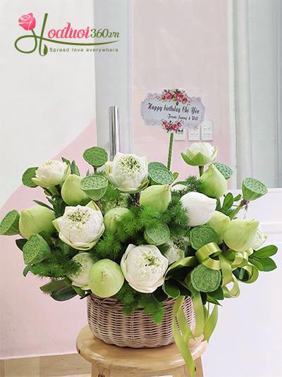 Chậu hoa sen trắng - Tình yêu hoàn hảo