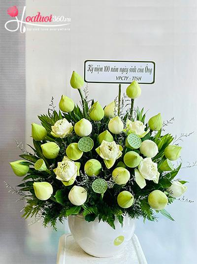 Chậu hoa sen trắng - Vẻ đẹp thanh cao