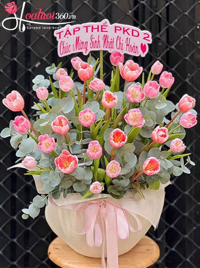 Chậu hoa tulip hồng - Rung động yêu thương