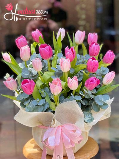 Chậu hoa tulip hồng - Thích em hơi nhiều