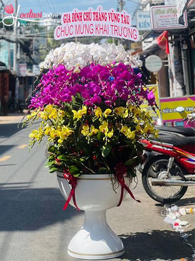 Chậu lan hồ điệp kết hợp - Đại cát đại lộc