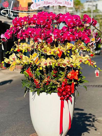 Chậu lan hồ điệp kết hợp - Hai tay đón lộc