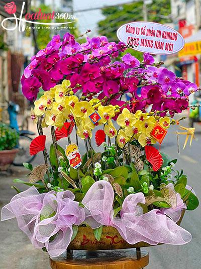Chậu lan hồ điệp kết hợp - Hồng phúc bình an